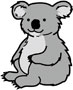 koala