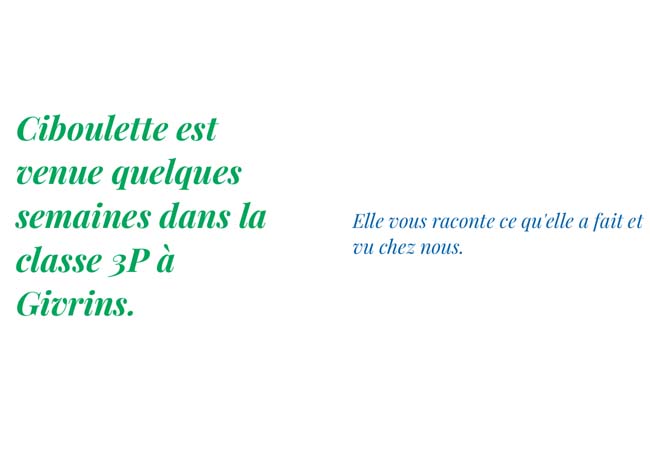 Ciboulette
