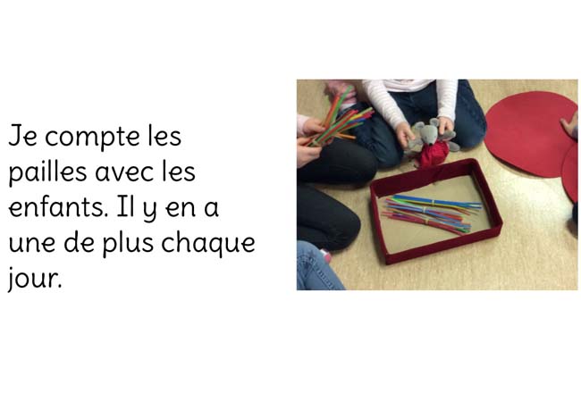 Ciboulette