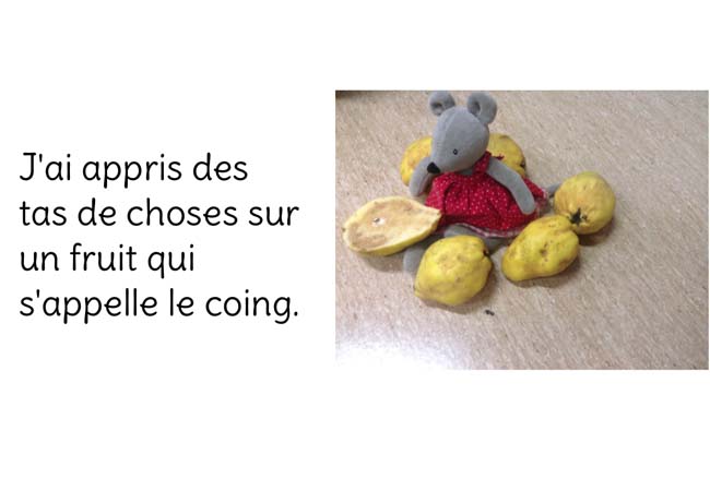Ciboulette
