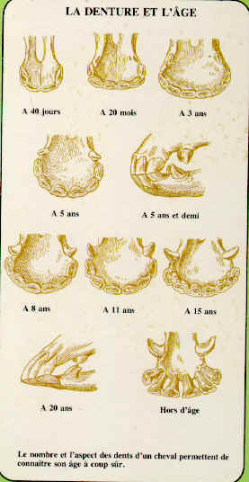 wpe10.jpg (21373 octets)