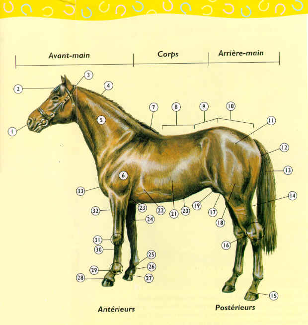 wpe1E.jpg (40160 octets)