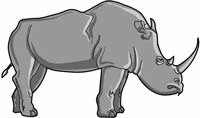 Rhinocéros