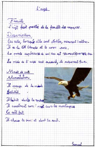 Aigle