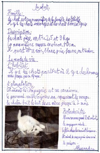 Chat
