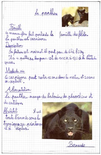 Panthère