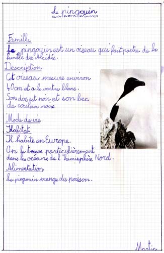 Pingouin
