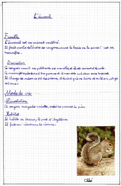 Ecureuil