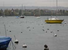 Morges1