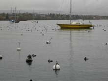 Morges2