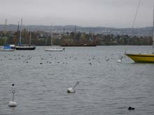 Morges3