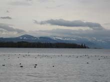 Morges4