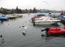 Morges5