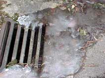 grille