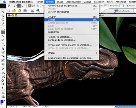 dino3