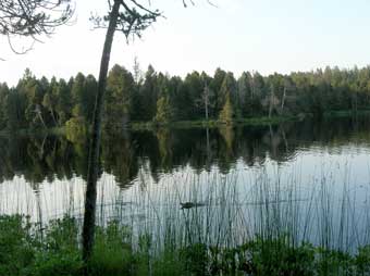 Etang 1