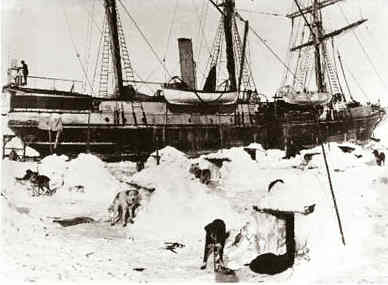 les chiens de l'exp&eacute;dition