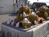 dscn0101.jpg