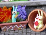 dscn0111.jpg