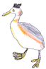 Le grèbe huppé