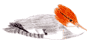 Le harle bièvre