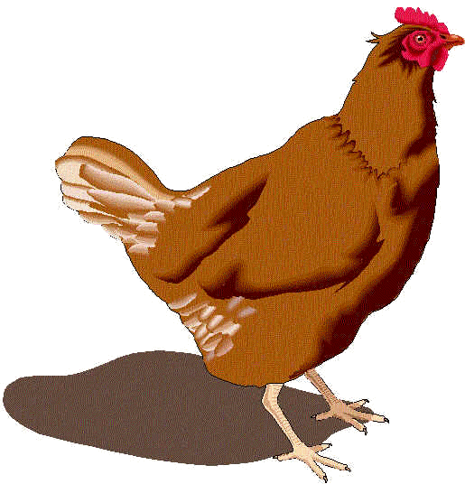 oeufs.1.gif (88325 octets)