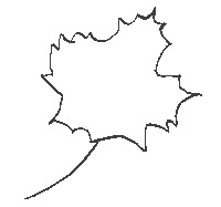erable_feuille.gif (1122 octets)