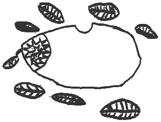 noisettes.gif (3238 octets)