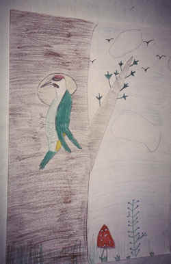 pic1.jpg (29182 octets)