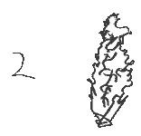 pives_ronges_2.gif (1152 octets)